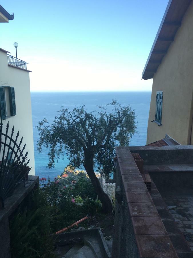 House In Grimaldi. Spectacular View Over The French Riviera! غريمالدي المظهر الخارجي الصورة